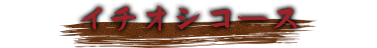 イチオシコース